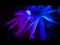 Technimatic - Turner Road 