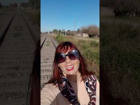 General Lagos. Pueblo Esther. Santa Fe.#santafe #pueblos #camposargentinos