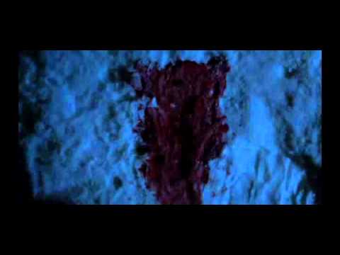 Najlepsza scena z filmu "Kret"