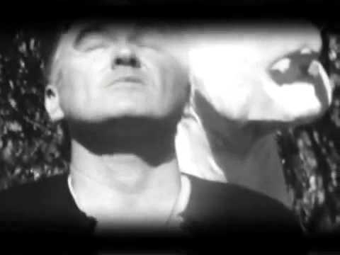 Ganglord - Morrissey
