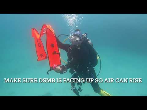 How to deploy your DSMB!