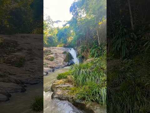 “Pare por 25 segundos.. a gratidão vai libera o agir de Deus ."🙏 #natureza #palavrasdefé #shorts #fe