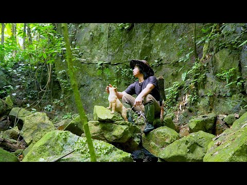 , title : 'Make shelter, catch frogs & cook: Solo Bushcraft, Survival Alone | EP.120'