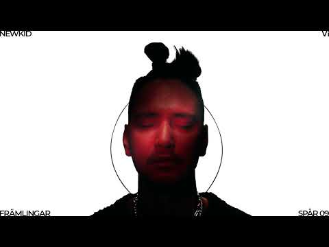 Newkid - Främlingar (Visualizer)