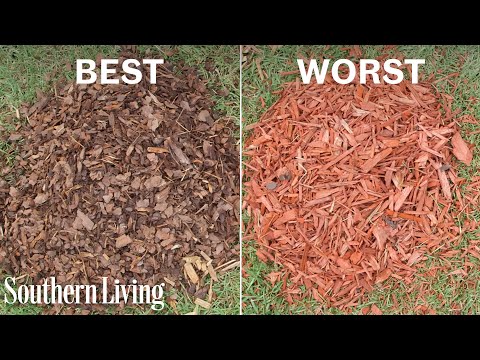 YouTube video about Discover which mulch maintains its vibrancy the longest