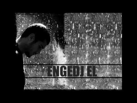 RHINO - ENGEDJ EL.. (Km. IMPULSE)