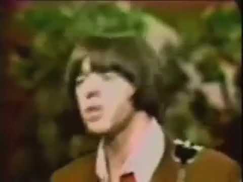Pushin Too Hard  The Seeds 1967