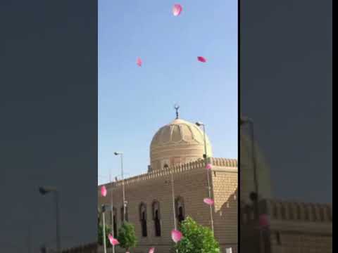 Masjid e nimrah #masjidenimrah #makkah #shorts #islamic @Islamicworld-ys3uu