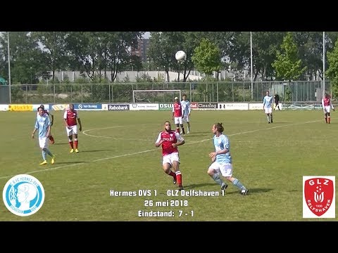 Samenvatting Hermes DVS 1 - GLZ Delfshaven 1