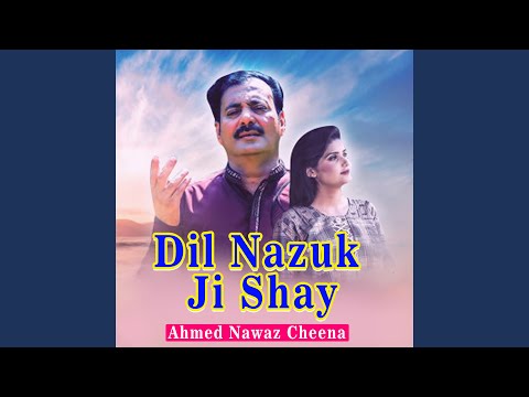 Dil Nazuk Ji Shay