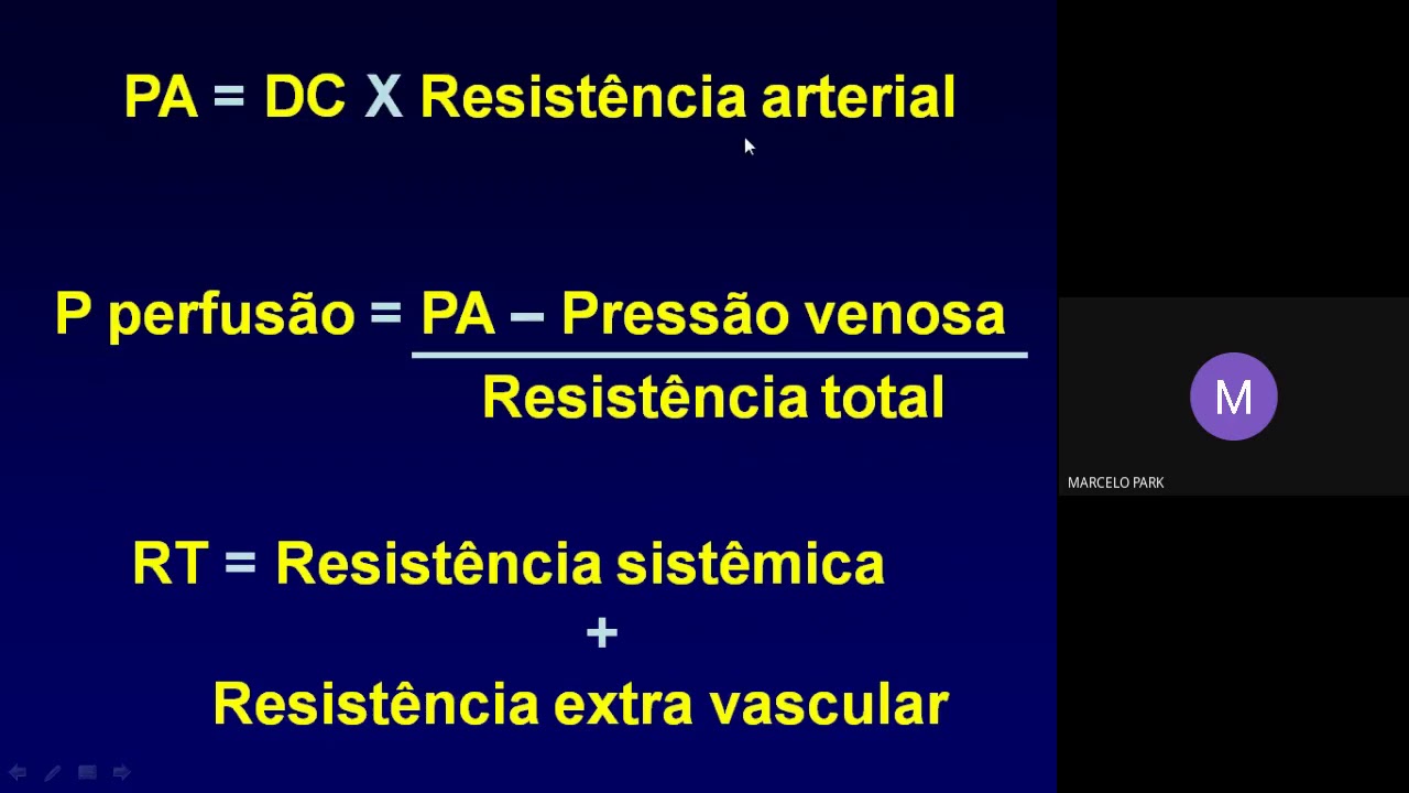 Fisiologia cardiovascular básica aplicada
