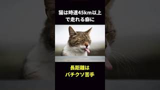 ねこのかわいい生態#猫 #ねこ #おもしろ動画 #animals