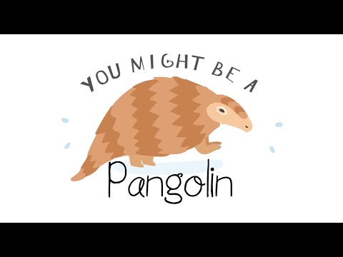 "Pangolin" SONGS | Modern Kid | Slugs & Bugs