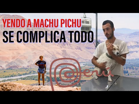 Más videos de Uruguay