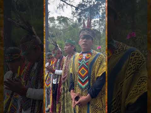 Convite Ritual Tradicional Huni Kuī dia 22/07 em Biritiba Mirim SP