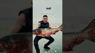 Он спал прямо над рыбой за миллион 😳 #audio #sound #shorts