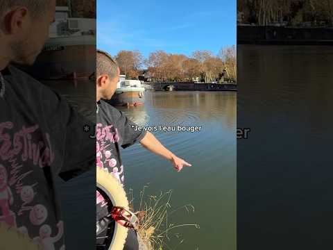 Prenez soin de vos animaux 🥺❤️‍🩹 #shorts #animals #sauvetage