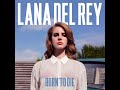 Lana Del Rey - National Anthem • 4K 432 Hz