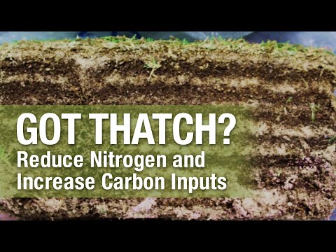 2 Minute Turf Talk - Got Thatch?