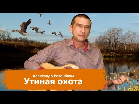 Александр Розенбаум - Утиная охота (кавер на гитаре)