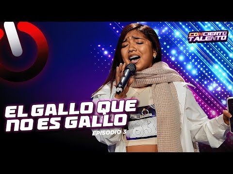 EL GALLO QUE NO ES GALLO | CONCIERTO TALENTO
