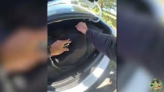 Deputies find 63lbs of marijuana during car search