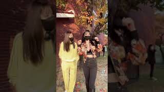 秋に着る服　#shorts