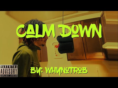 WhyNotRob - Calm Down (Official Music Video)
