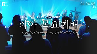 피아워십 목요예배 (24.06.06) I F.I.A LIVE WORSHIP