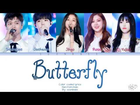 [COLOR CODED LYRICS Han/Rom/Indo Sub] SUNGJAE, JAEHWAN, JIHYO, ROSE, YUJU - BUTTERFLY