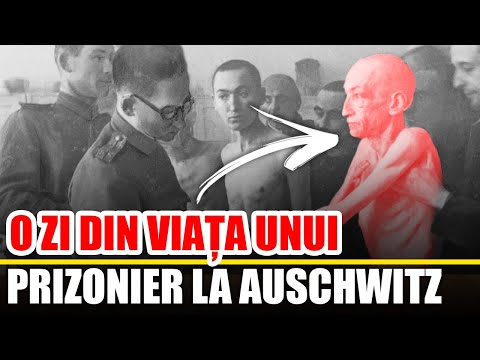 O Zi Din Viata Unui Prizonier La Auschwitz