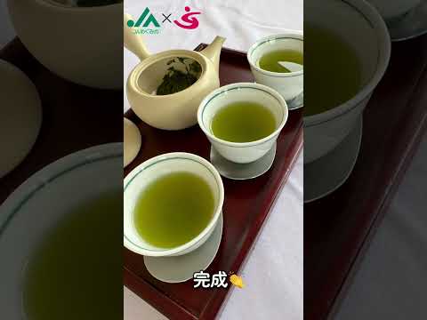 美濃白川茶（紹介）｜JAめぐみの×美・デザイン＆医療事務コース　産学連携授業作成動画｜中部学院大学・中部学院大学短期大学部