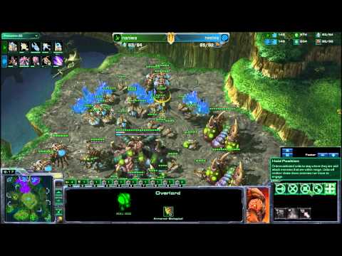 IM.NesTea vs coL.Naniwa game 2