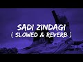 Sadi Zindagi Hi Tha Baliye Song Sadi Zindagi Hi Tha Baliye Slowed Reverb Song Trending Lofisong