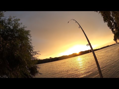 4 NOPȚI CU GUGU pe Sf. Gheorghe 🥰