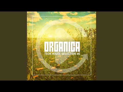 Lonber Attract (feat. L.K) (Tini Remix)