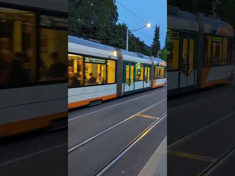 Tram series|German mobility|Public transport #german #germany#tram
