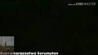 preview picture of video 'Wisata  suakamargasatwa kerumutan desa kapau'
