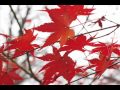 OST Autumn in My Heart - Prayer - Jung Il Young ...