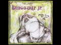 Dinosaur Jr. - You're Living All Over Me (Private Remaster) - 10 Show Me The Way (Bonus Track)