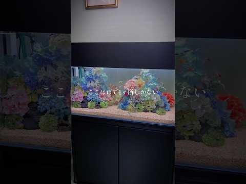 園芸 アクアスケープ、最良の方法