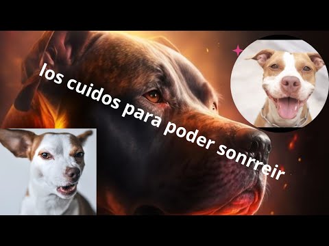 PERROS -"Pitbulls y AFECCIONES DE LA PIEL: Identificación, tratamiento y prevención"