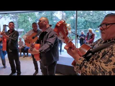 The Allstars of Gipsy - Siento