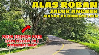 Download lagu ALAS ROBAN, a haunted path into another dimension mp3 Download lagu ALAS ROBAN, a haunted path into another dimension mp3