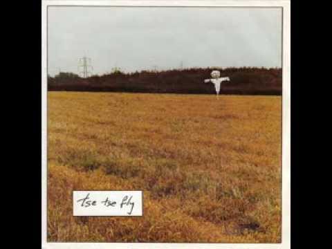 John Peel's Tse Tse Fly - Tadpole Part 2