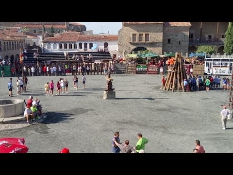 Festejos taurinos I- Directo Alko tv