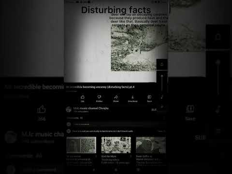 ENTRY PLUG (HEAVILY SLOWED)