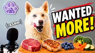 Husky Eating RAW Meat ASMR