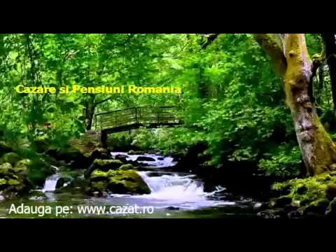 Cazare Bocicoiu Mare, Maramures - Cazat.ro