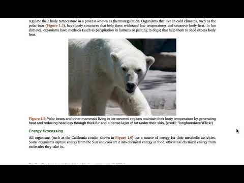 OpenStax Concepts of Biology 1.1 Introduction to Biology Themes and Concepts